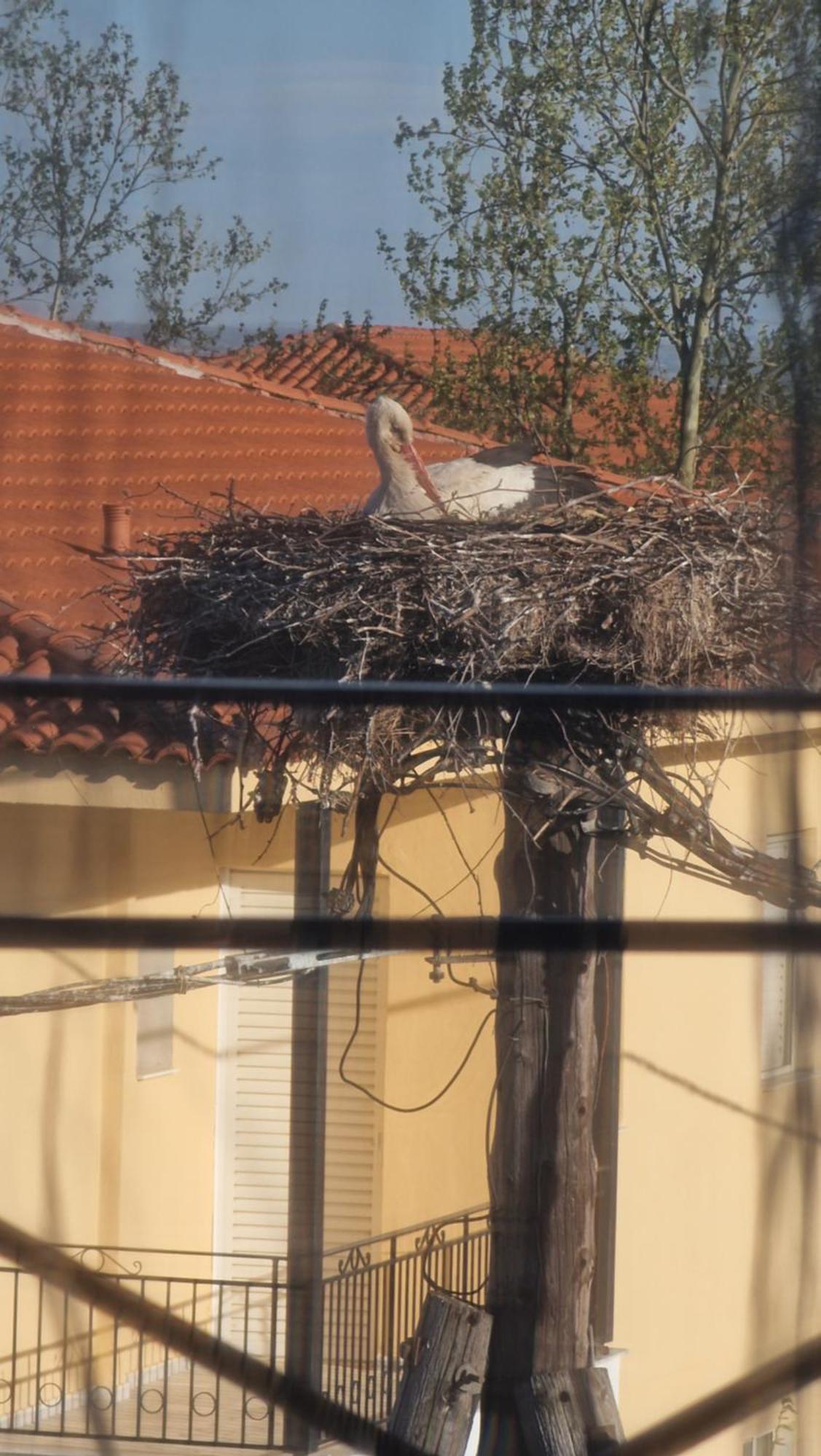 Kofinaki Apartment 1 Tycherón Dış mekan fotoğraf