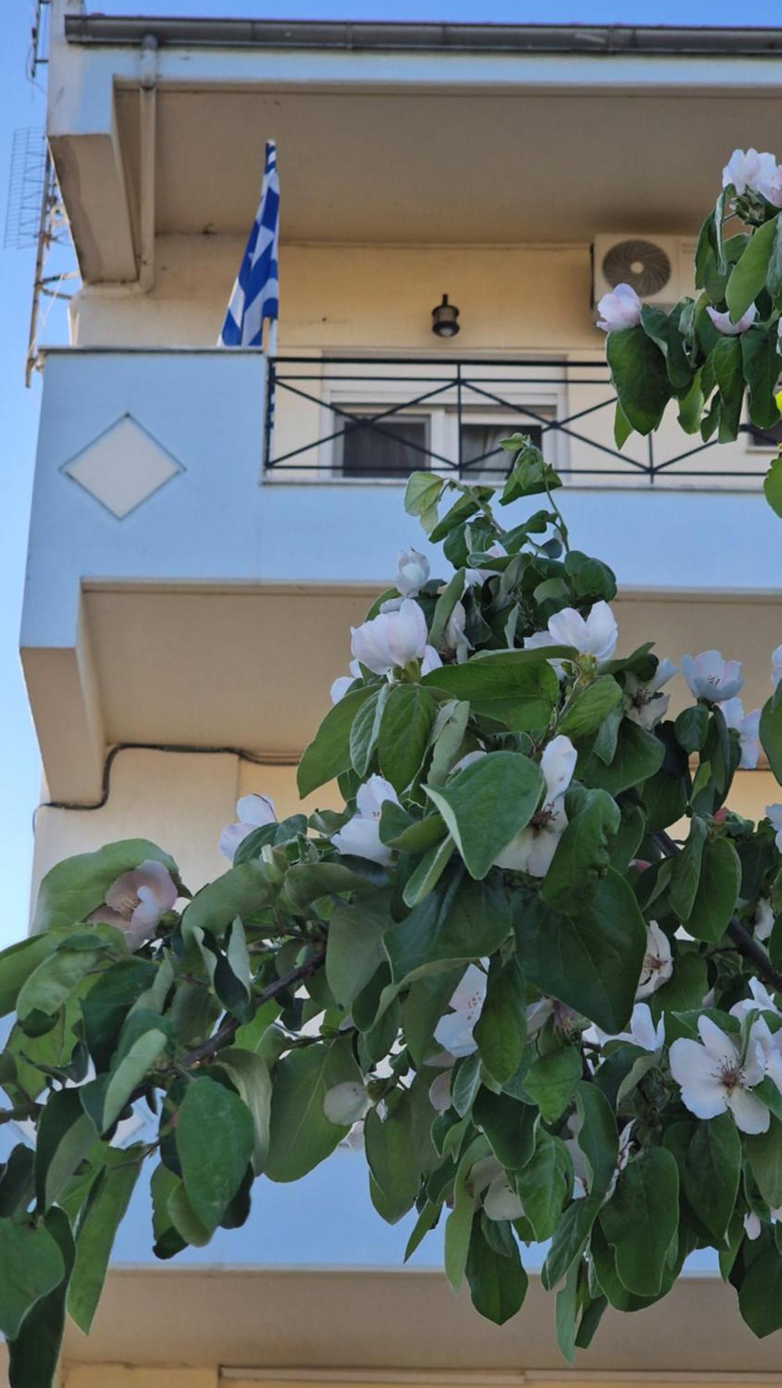 Kofinaki Apartment 1 Tycherón Dış mekan fotoğraf