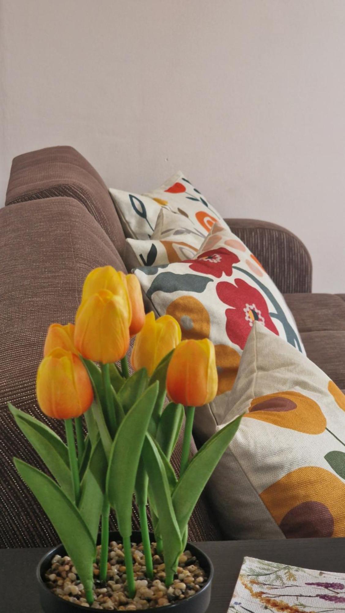 Kofinaki Apartment 1 Tycherón Dış mekan fotoğraf